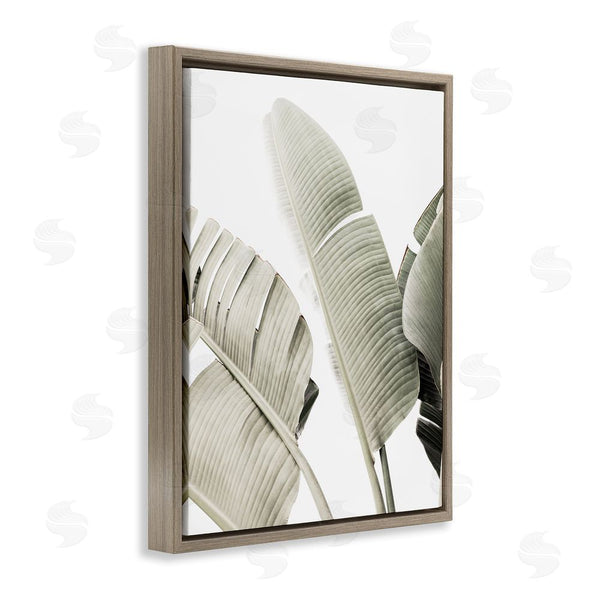 Stupell Industries Sisi And Seb | Muted Banana Leaves Wall Art