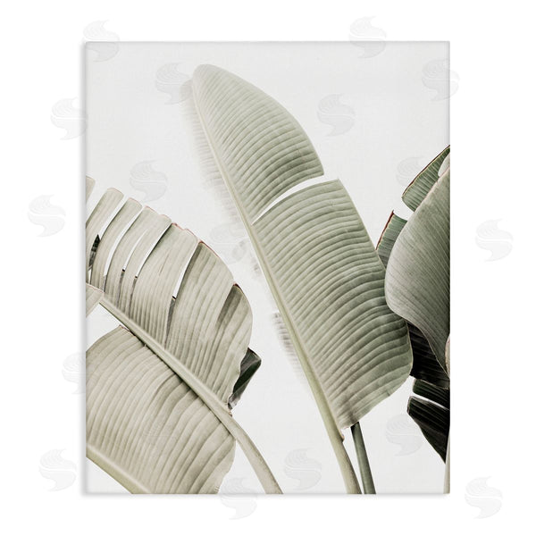 stupell industries Sisi and Seb | Muted Banana Leaves Wall Art
