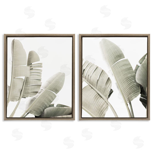 Stupell Industries Sisi And Seb | Muted Green Banana Leaves Wall Art