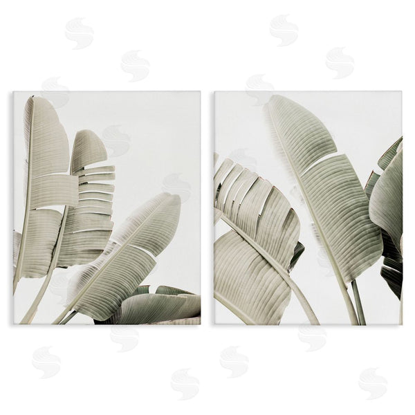 stupell industries Sisi and Seb | Muted Green Banana Leaves Wall Art
