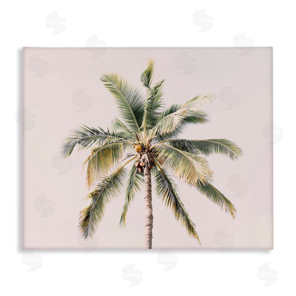 stupell industries Sisi and Seb | Palm Tree Underside on Pink