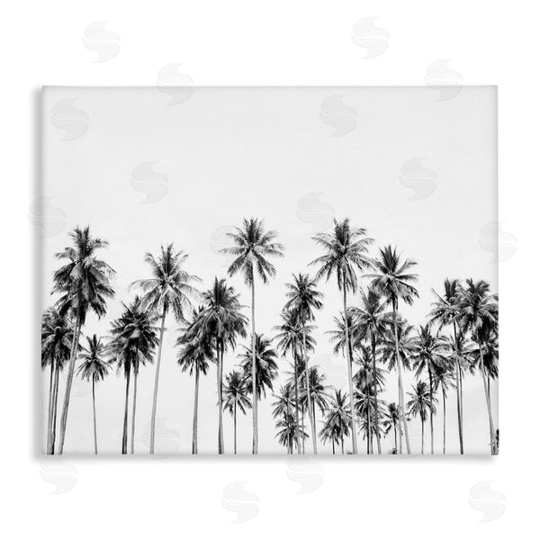 stupell industries Sisi and Seb | Palm Trees Paradise in Monochrome