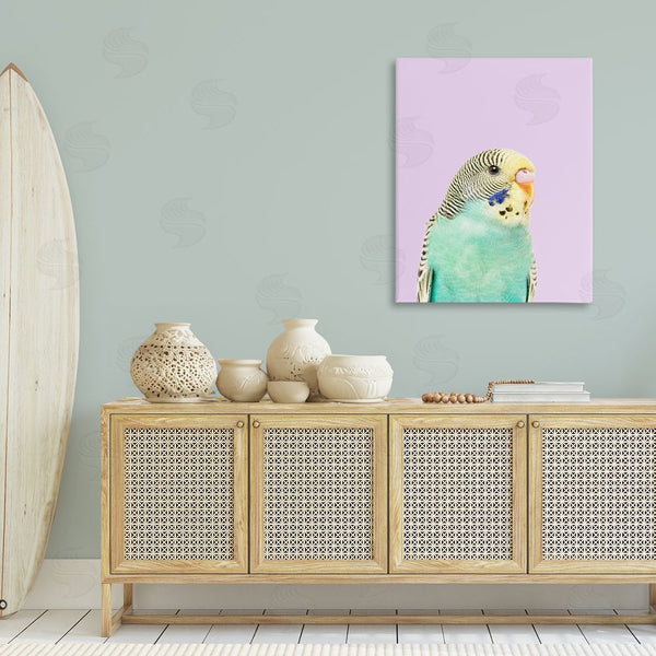 Stupell Industries Sisi And Seb | Pastel Budgie Bird Wall Art