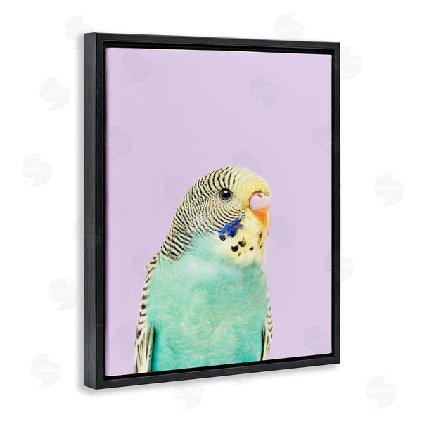 Stupell Industries Sisi And Seb | Pastel Budgie Bird Wall Art
