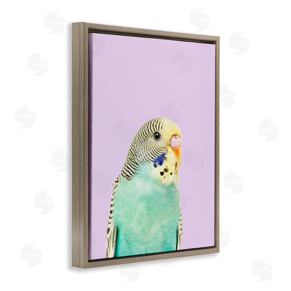 Stupell Industries Sisi And Seb | Pastel Budgie Bird Wall Art