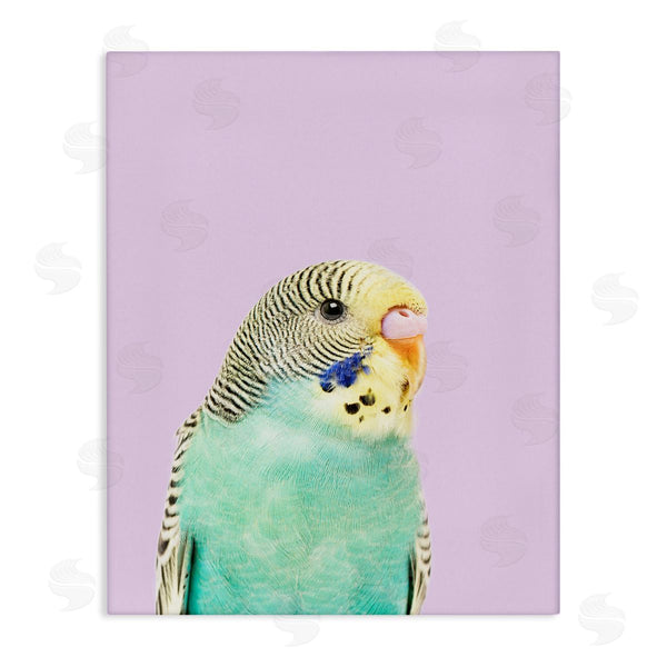 stupell industries Sisi and Seb | Pastel Budgie Bird Wall Art