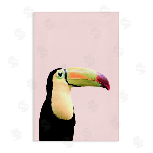 stupell industries Sisi and Seb | Pastel Toucan on Pink Wall Art