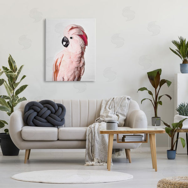 Stupell Industries Sisi And Seb | Pink Cockatoo Photography Wall Art