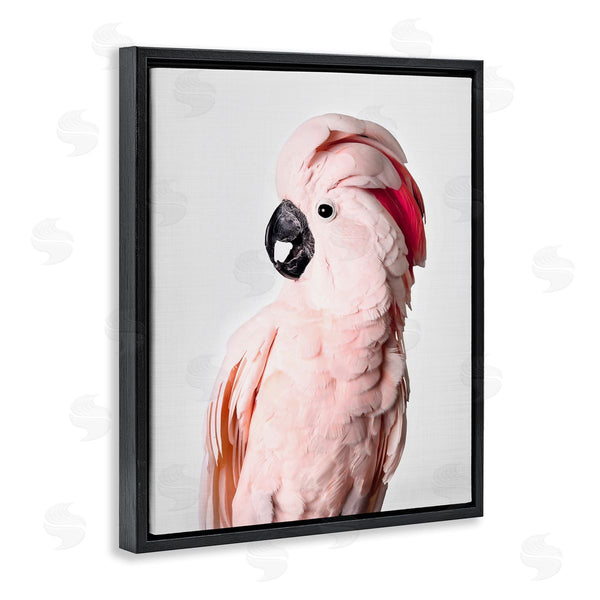 Stupell Industries Sisi And Seb | Pink Cockatoo Photography Wall Art