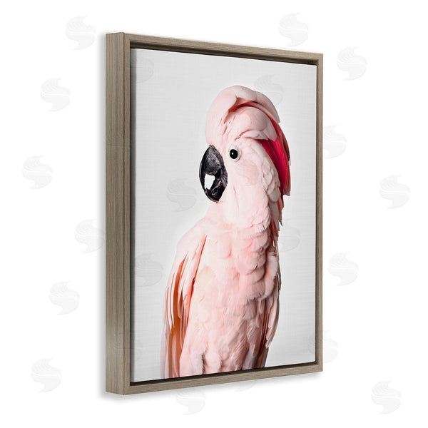 Stupell Industries Sisi And Seb | Pink Cockatoo Photography Wall Art
