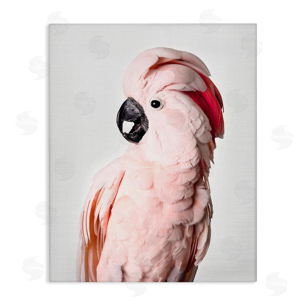 stupell industries Sisi and Seb | Pink Cockatoo Photography Wall Art