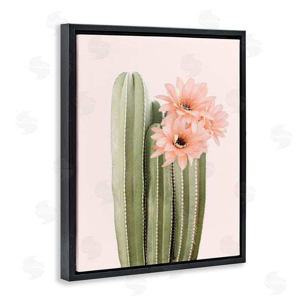 Stupell Industries Sisi And Seb | Pink Flower On Cactus Wall Art