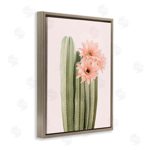 Stupell Industries Sisi And Seb | Pink Flower On Cactus Wall Art