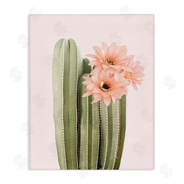 stupell industries Sisi and Seb | Pink Flower on Cactus Wall Art