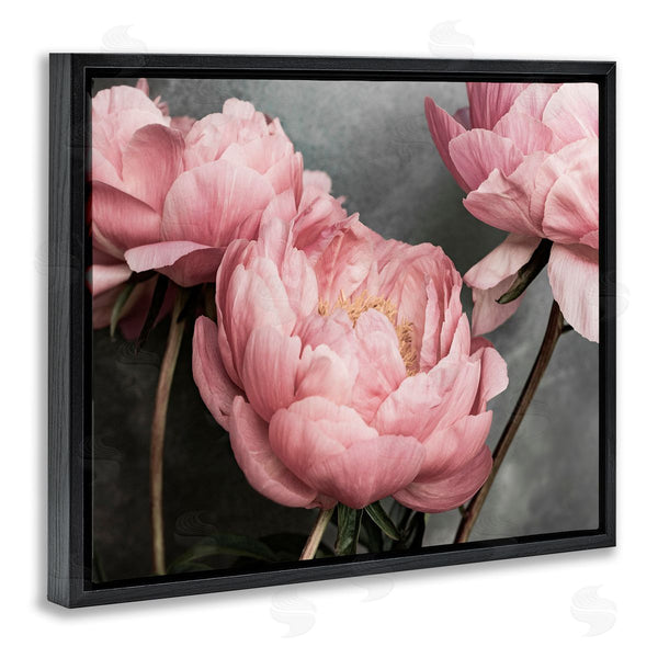 Stupell Industries Sisi And Seb | Pink Peonies Trio Wall Art