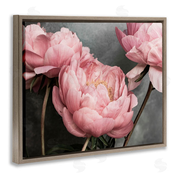 Stupell Industries Sisi And Seb | Pink Peonies Trio Wall Art
