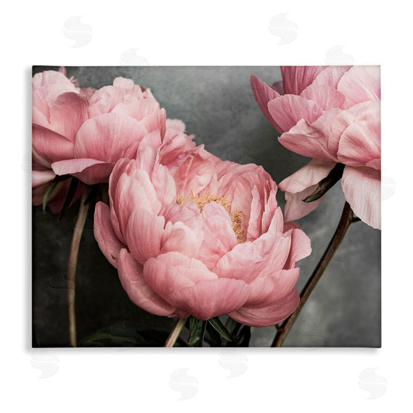 stupell industries Sisi and Seb | Pink Peonies Trio Wall Art