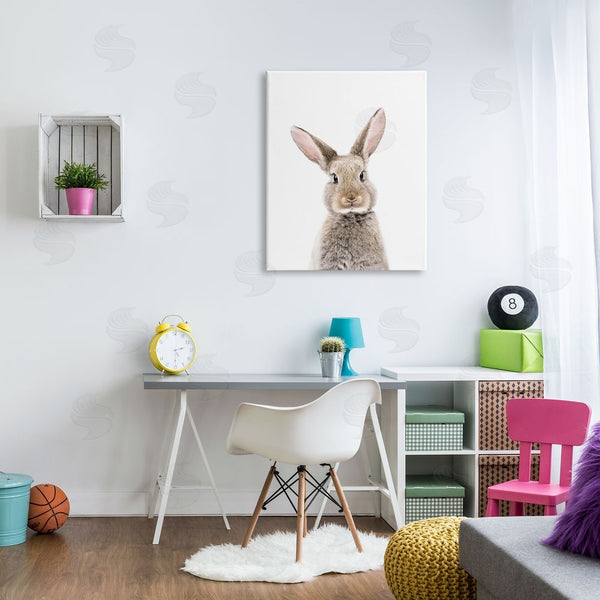Stupell Industries Sisi And Seb | Rabbit Face Portrait Wall Art