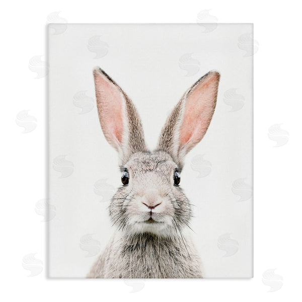 stupell industries Sisi and Seb | Rabbit Face Portrait Wall Art