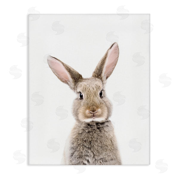 stupell industries Sisi and Seb | Rabbit Face Portrait Wall Art