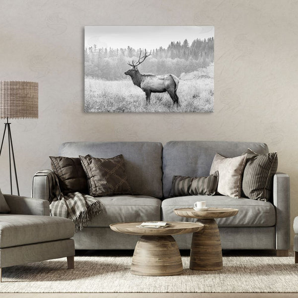 Stupell Industries Sisi And Seb | Stoic American Elk Wall Art