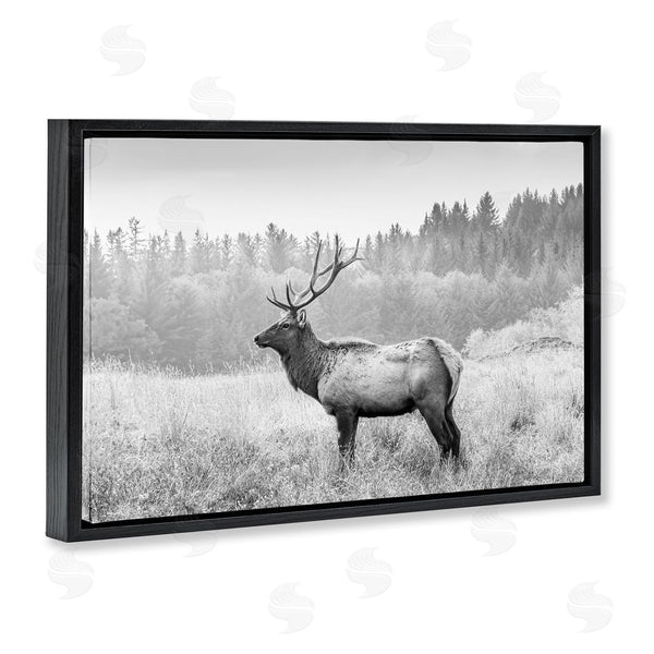 Stupell Industries Sisi And Seb | Stoic American Elk Wall Art
