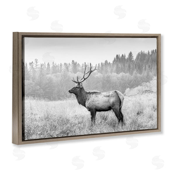 Stupell Industries Sisi And Seb | Stoic American Elk Wall Art