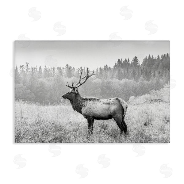 stupell industries Sisi and Seb | Stoic American Elk Wall Art