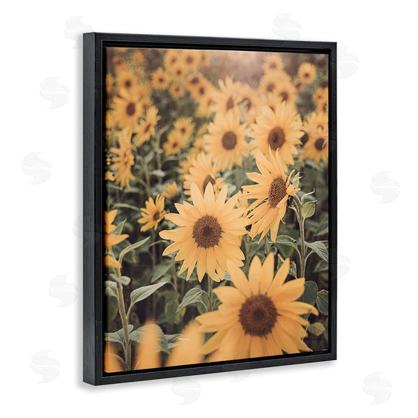Stupell Industries Sisi And Seb | Sunlit Sunflower Field Wall Art