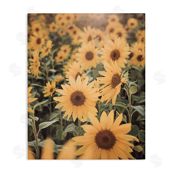 stupell industries Sisi and Seb | Sunlit Sunflower Field Wall Art
