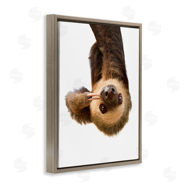 Stupell Industries Sisi And Seb | Upside-down Sloth Portrait Wall Art