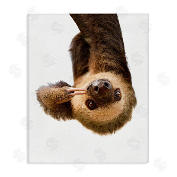 stupell industries Sisi and Seb | Upside-down Sloth Portrait Wall Art
