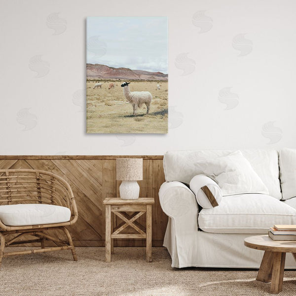 Stupell Industries Sisi And Seb | Wild Alpacas In Desert Wall Art