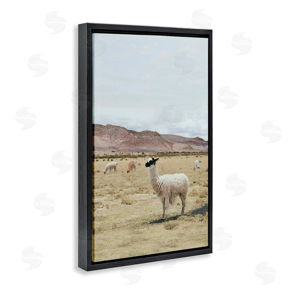 Stupell Industries Sisi And Seb | Wild Alpacas In Desert Wall Art