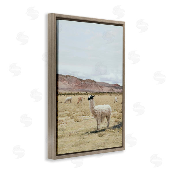 Stupell Industries Sisi And Seb | Wild Alpacas In Desert Wall Art