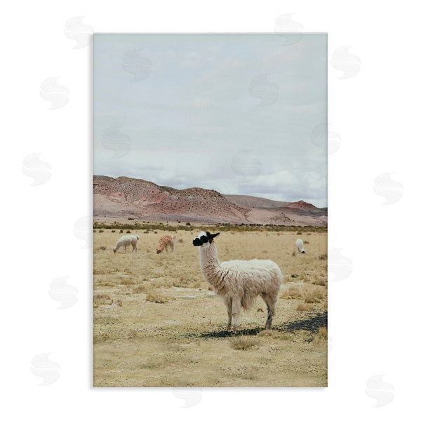 stupell industries Sisi and Seb | Wild Alpacas in Desert Wall Art