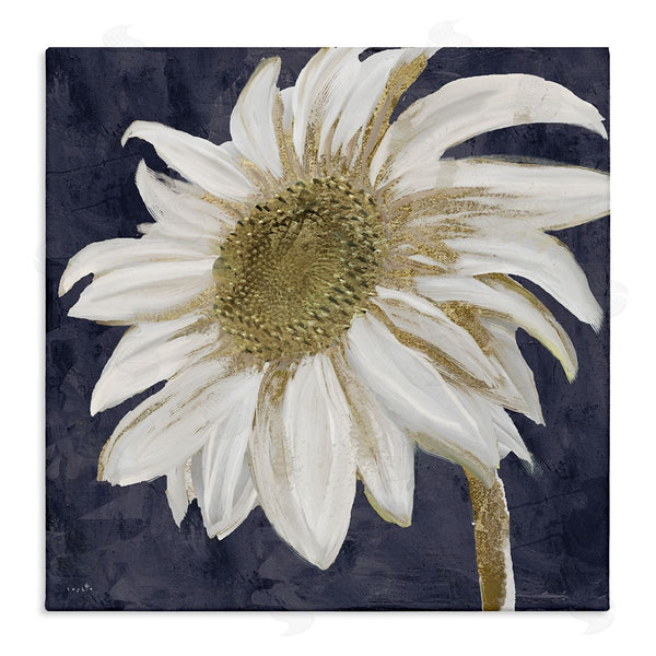 stupell industries Sophie 6 | Distressed Daisy Petals Wall Art