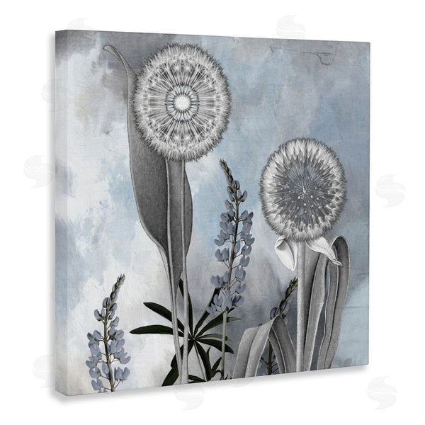 Stupell Industries Sophie 6 | Grey Toned Dandelion Sky