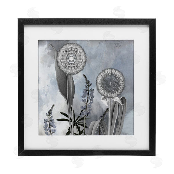 stupell industries Sophie 6 | Grey Toned Dandelion Sky