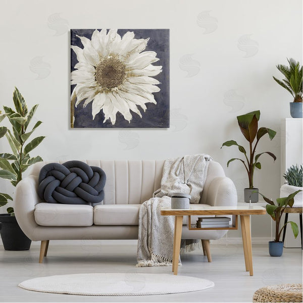 Stupell Industries Sophie 6 | Modern Distressed Daisy Wall Art