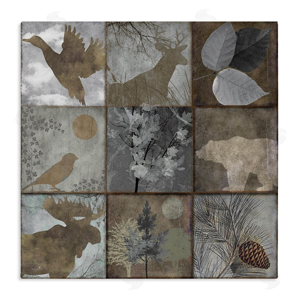 stupell industries Sophie 6 | Rustic Woodland Animal Square Collage Brown Grey Forest Wall Art