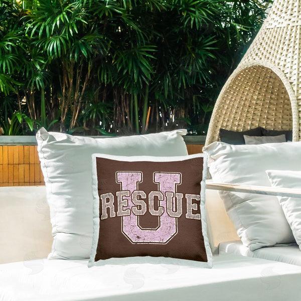 Stupell Industries Spirit Animals/Life Is High | Rescue U Vintage College Printed Throw Pillow