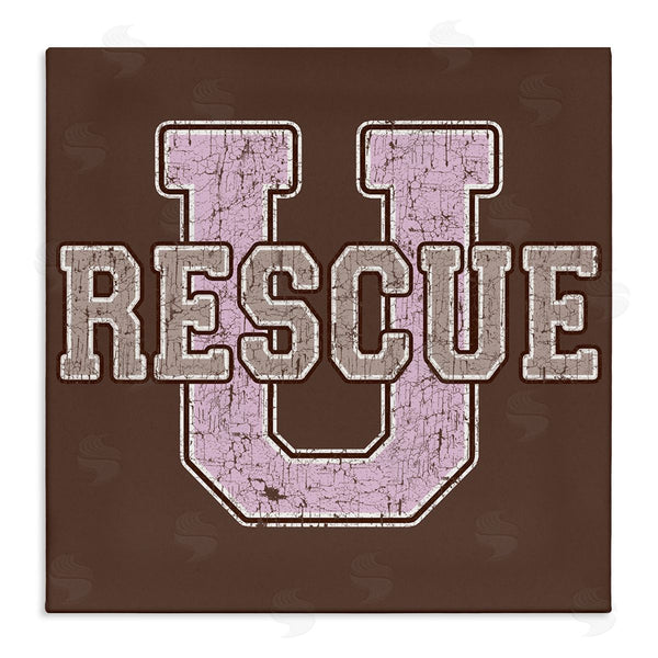 stupell industries Spirit Animals | Rescue U Vintage College Wall Art