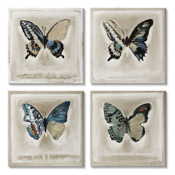 stupell industries Stacy D'Aguiar | Asymmetrical Butterfly Wing Patterns Wall Art