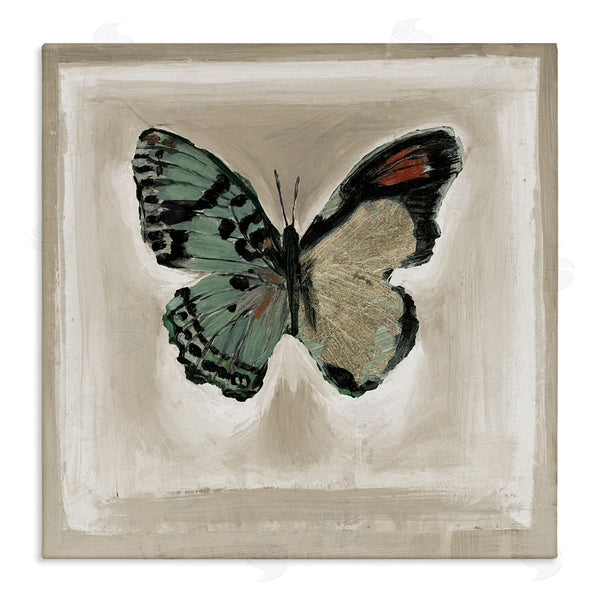 stupell industries Stacy D'Aguiar | Asymmetrical Butterfly Wings Wall Art
