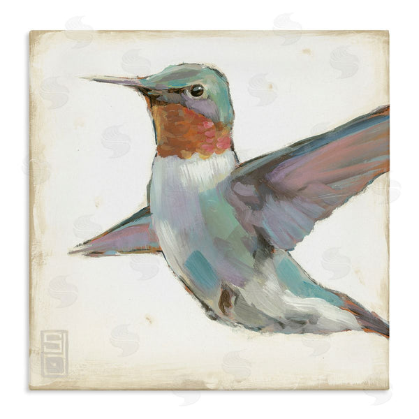 stupell industries Stacy D'Aguiar | Hummingbird in Flight Wall Art