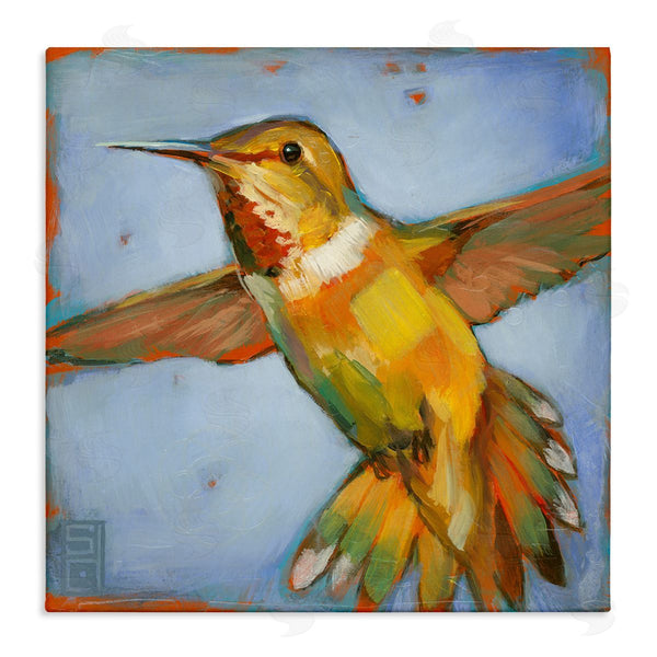 stupell industries Stacy D'Aguiar | Hummingbird on Blue Wall Art