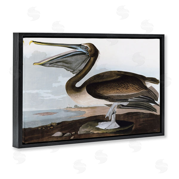 Stupell Industries Stellar Design Studio | Classic Pelican At Beach Wall Art