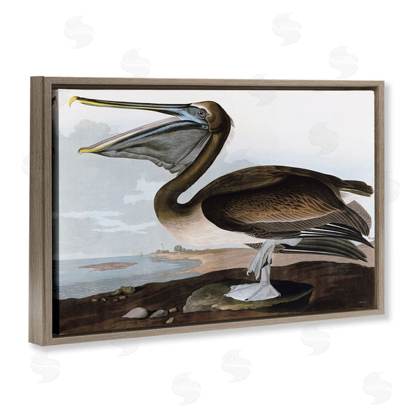Stupell Industries Stellar Design Studio | Classic Pelican At Beach Wall Art