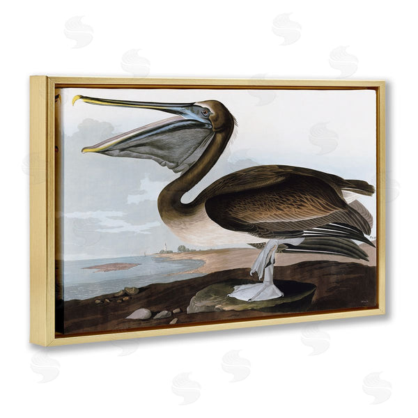 Stupell Industries Stellar Design Studio | Classic Pelican At Beach Wall Art
